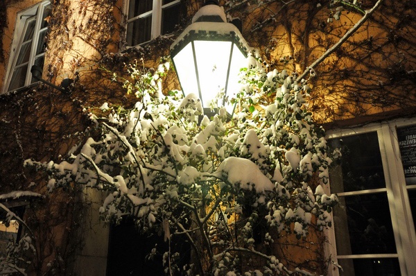 Winterimpressionen   054.jpg